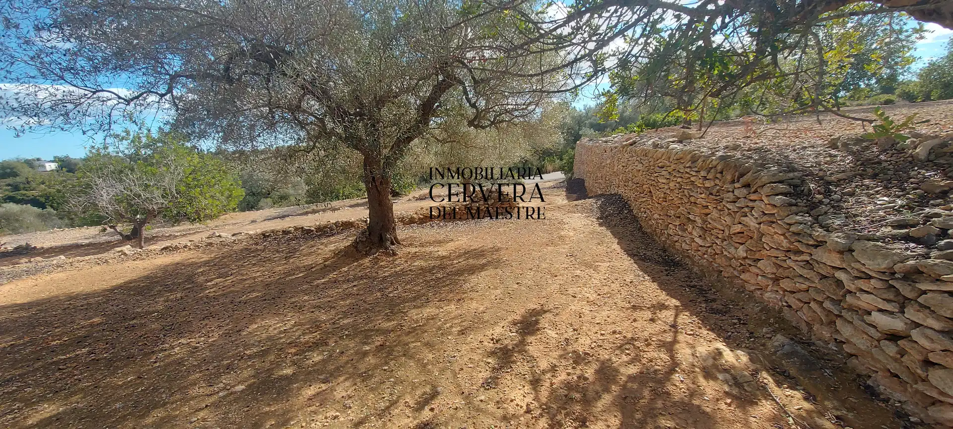 Terreno rustico in vendita a Partidas de interior - Zona Rústica