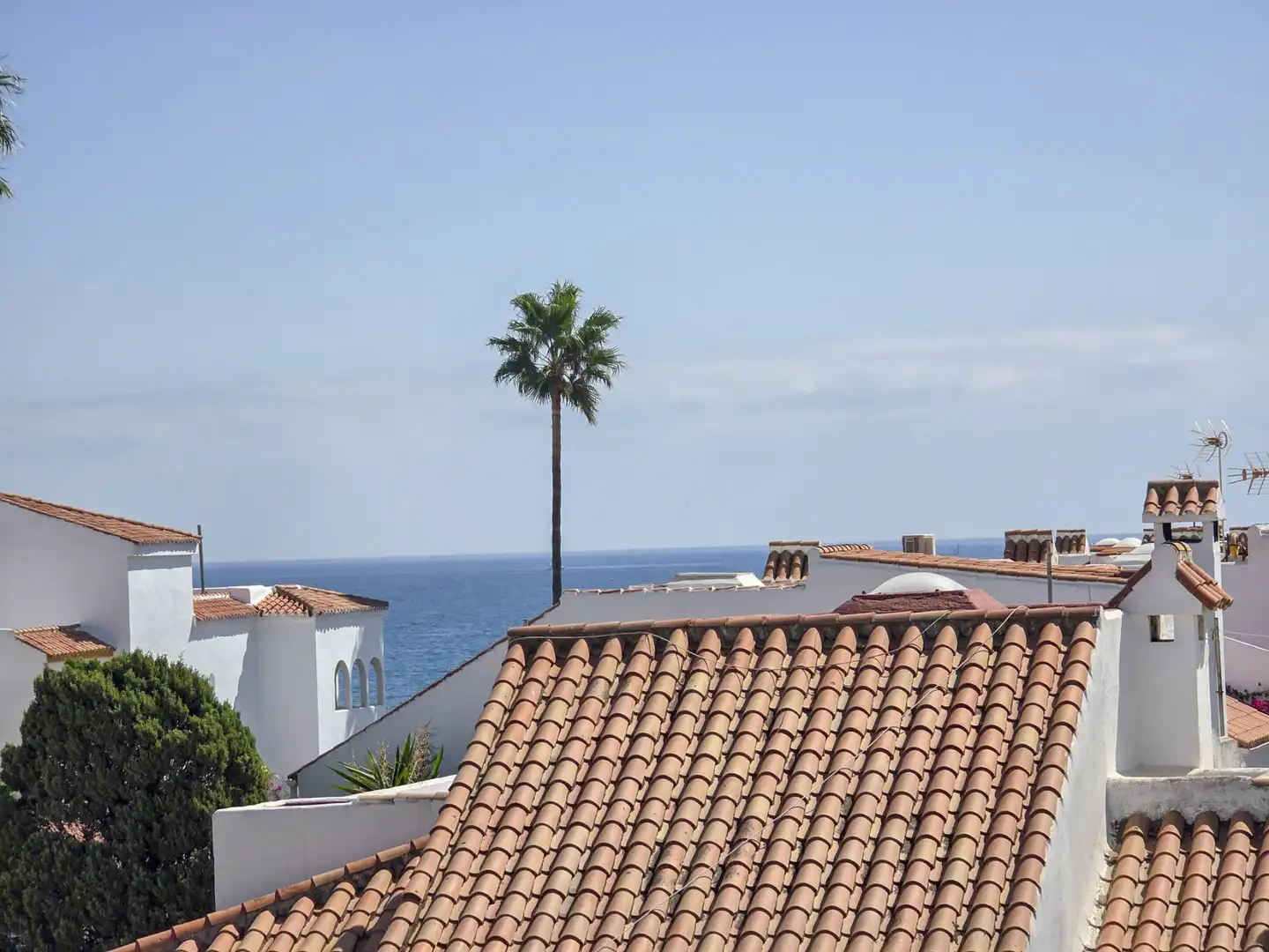 Adossat amb piscina en venda a MARINA DE CASARES 16, imagen 35