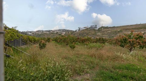 Gran Finca con unas vistas de ensueño en Salobreña!!!, imatge 2