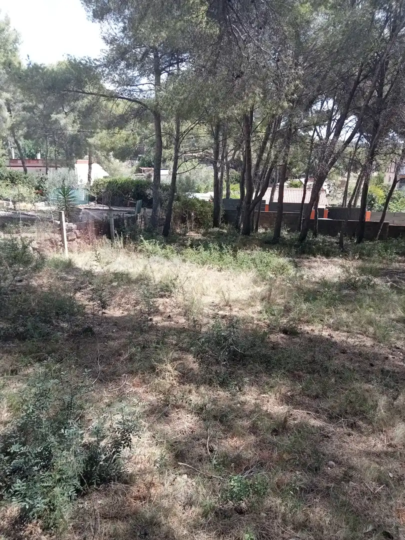 Rustikales Grundstück zum Verkauf in Avinguda de La Torre del Veguer 14, imagen 4