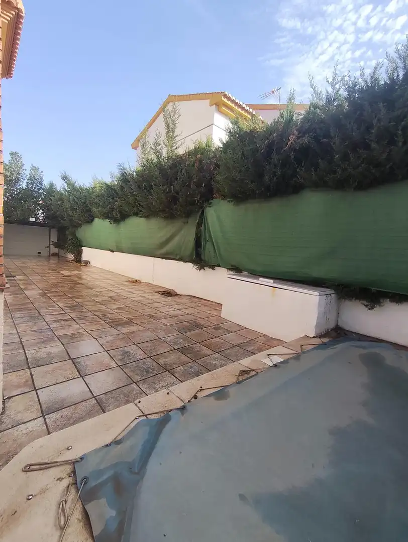 Haus mit Terrasse zur Miete in Residencial Triana - Barrio Alto, imagen 5