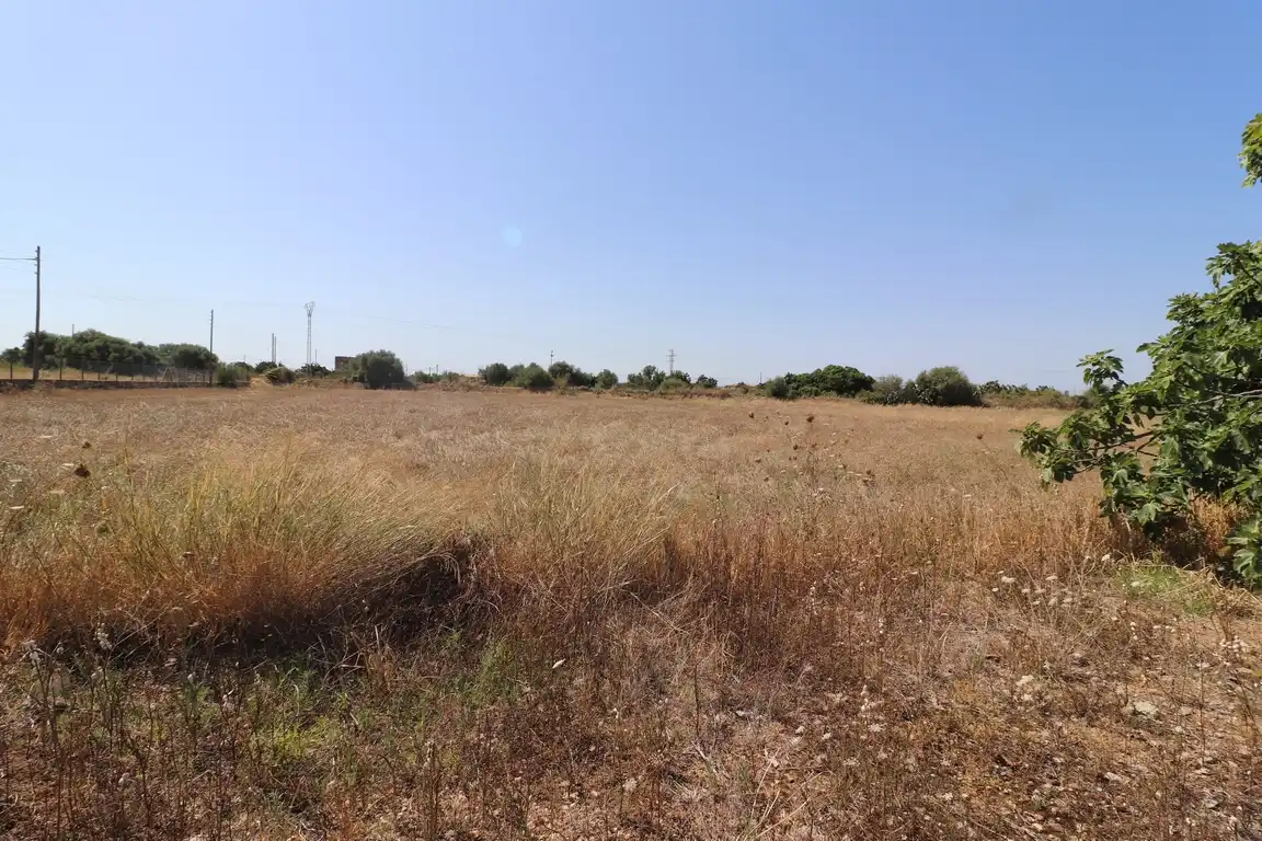 Grundstücke zum Verkauf in Sa Pobla