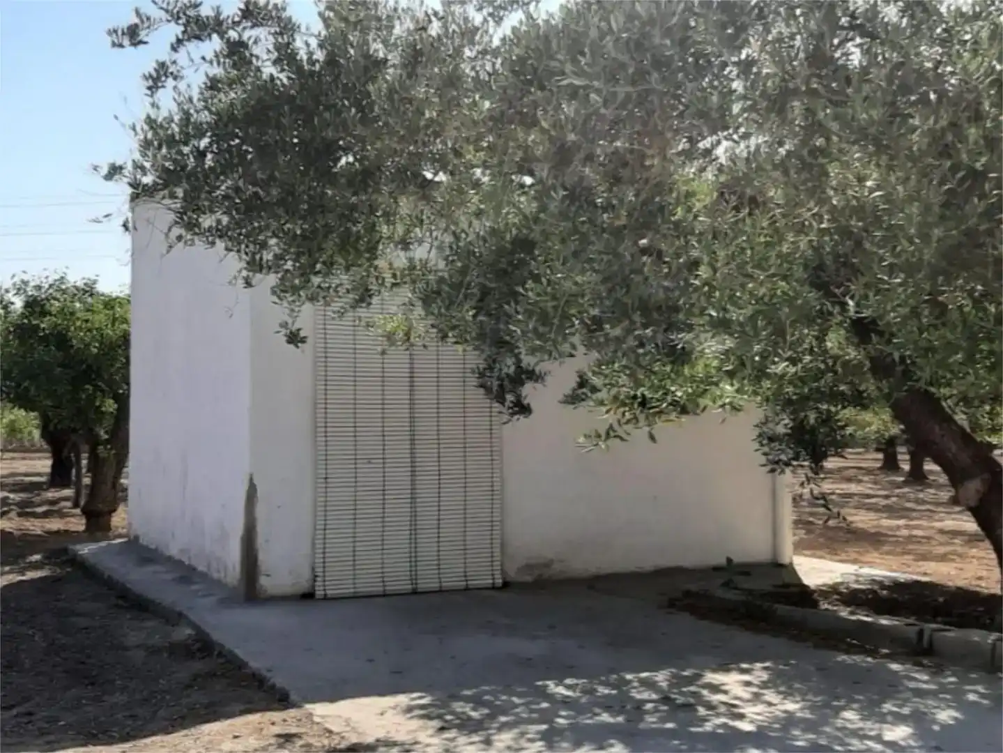 Vista exterior de Finca rústica en venta en Ontinyent