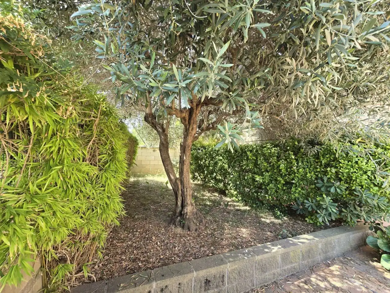Casa con giardino in vendita a Lliçà de Vall, imagen 6