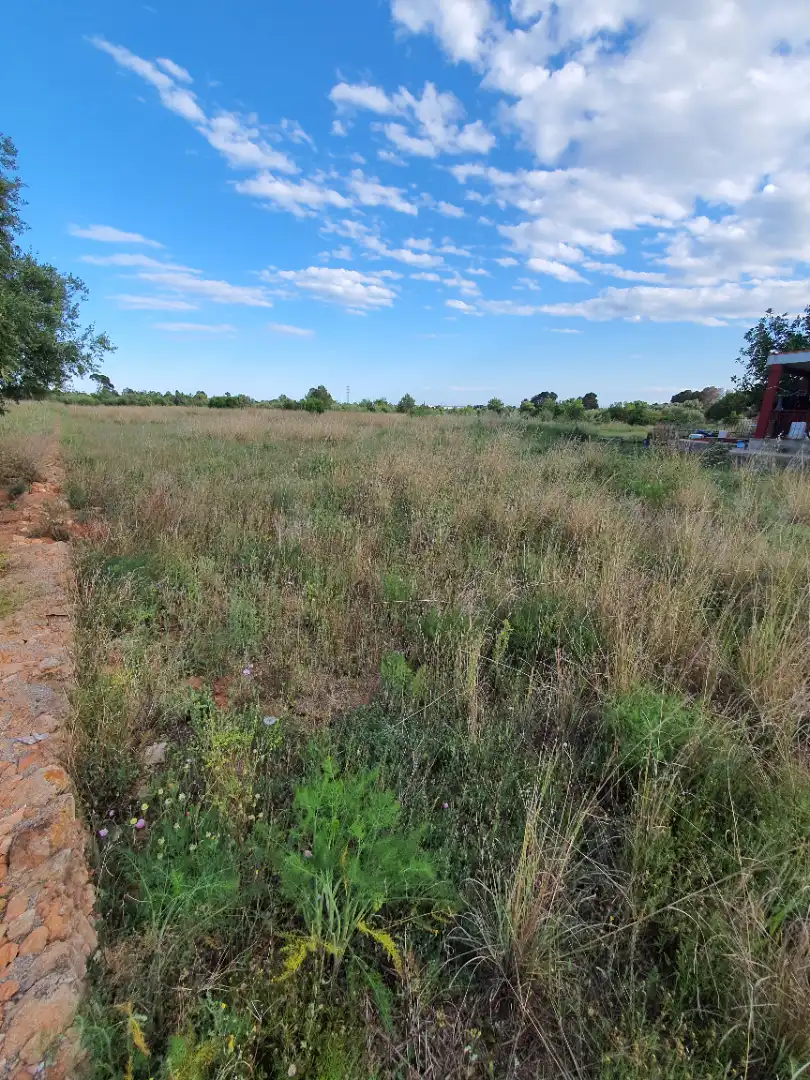 Terreno rustico in vendita a Partida Bovalar, imagen 10