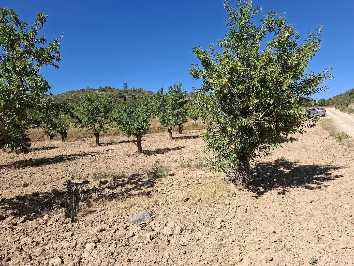 Terreno en venta en Maella