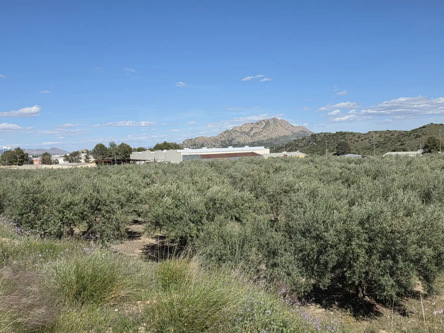Terrenys i solars en venda a Calasparra, imagen 3