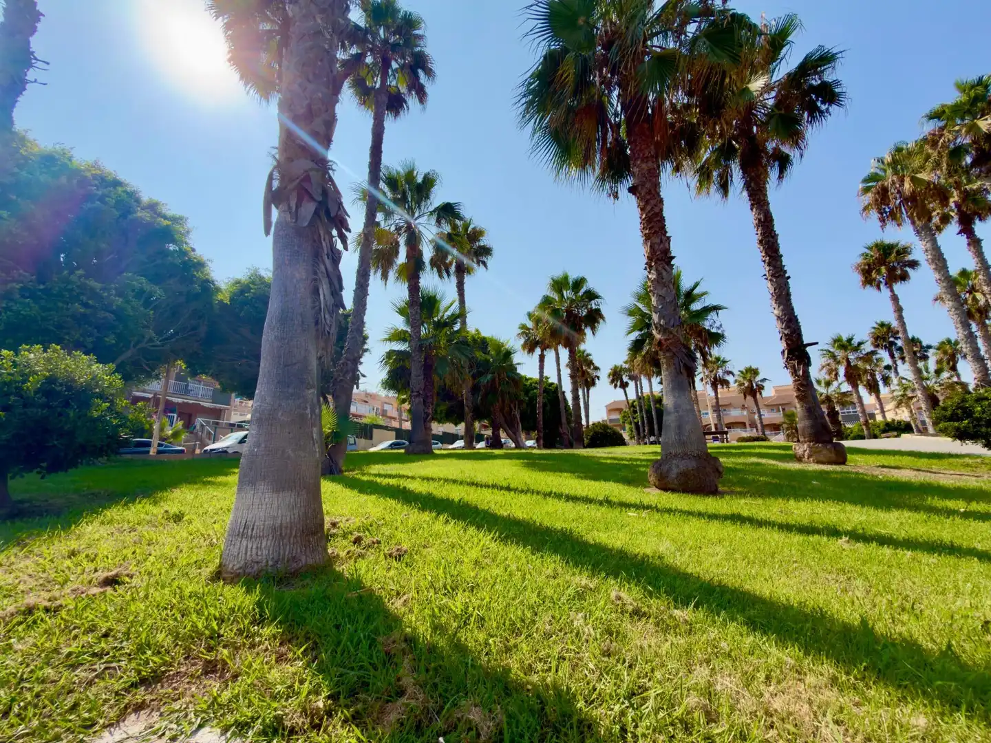 Vista exterior de Casa o chalet en venta en Torrevieja con Jardín privado, Amueblado y Piscina comunitaria