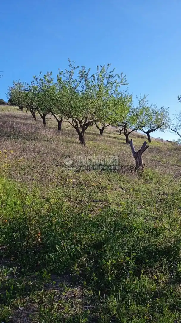 Terreny en venda en Gójar