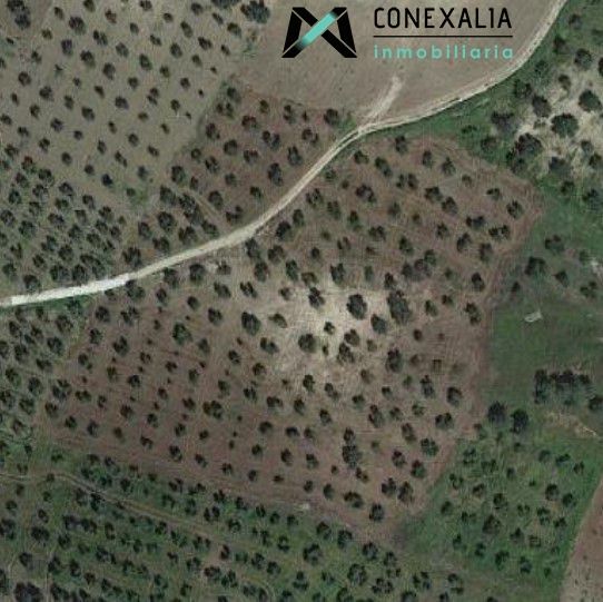 Finca rústica en venta en Olvera
