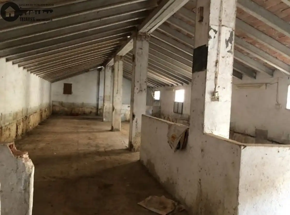Lands and plots for sale in Chinchilla de Monte-Aragón, imagen 13