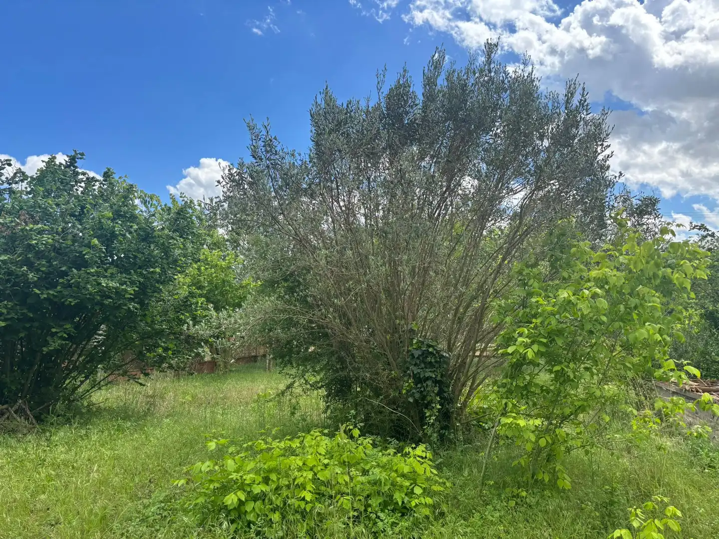 Residencial en venta en Colomers