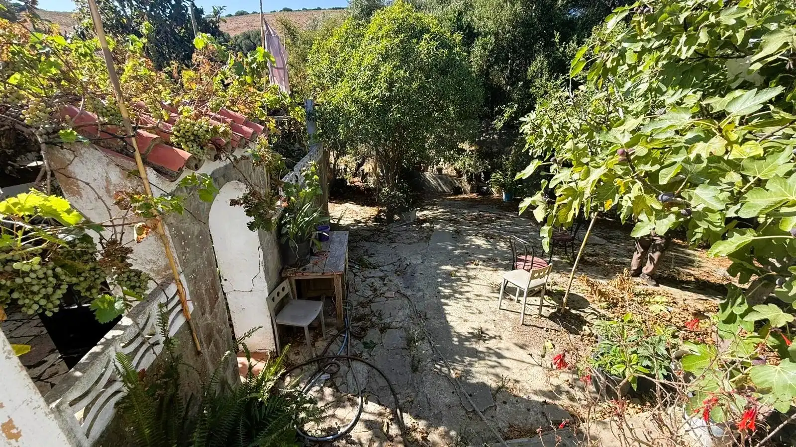 Maison à vendre à Tarifa ciudad, imagen 24