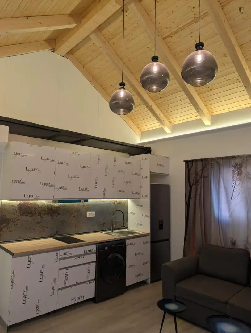 Kitchen of Houses for rent in Madrid  with Air Conditioner, Furnished and Washing machine