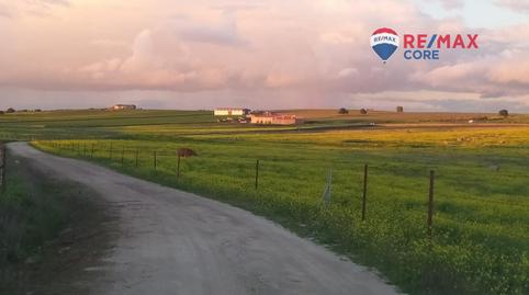 Foto 5 de Terreno en venta en Brozas, Cáceres