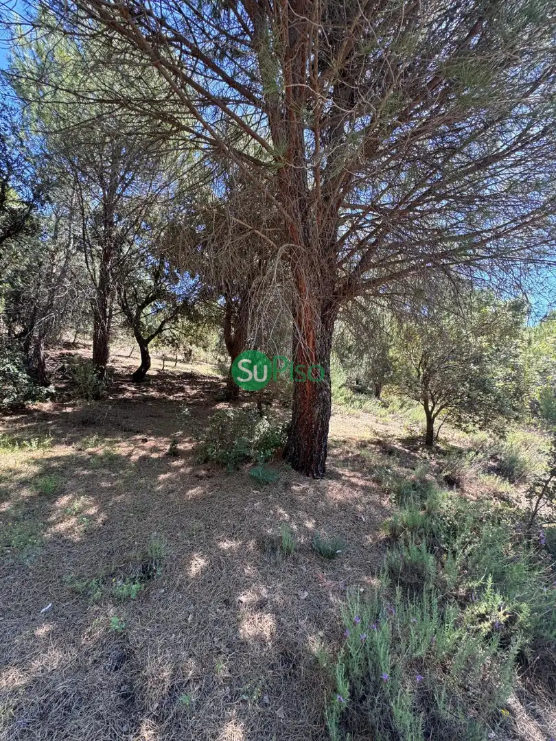 Casa o xalet en venda en San Martín de Valdeiglesias amb Jardí privat