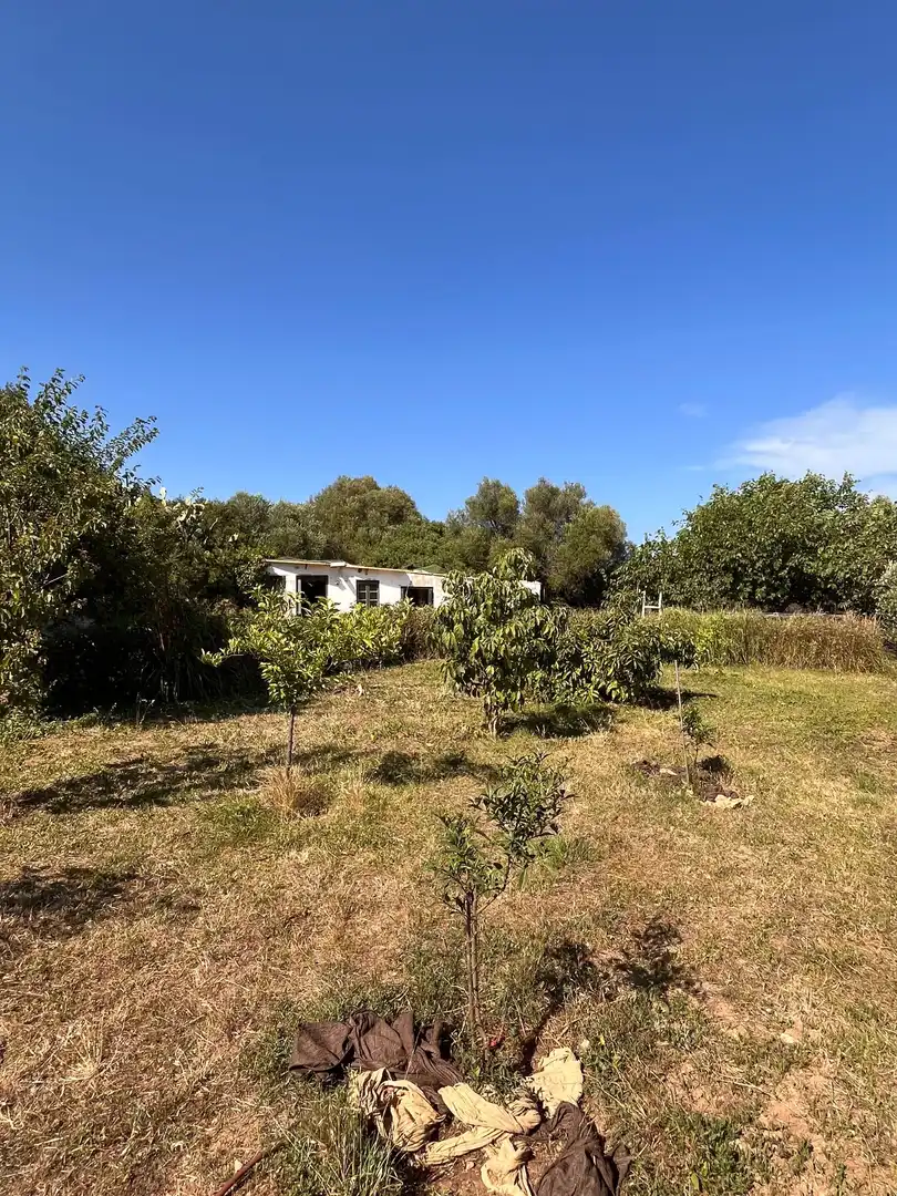 Residential zum Verkauf in Es Castell