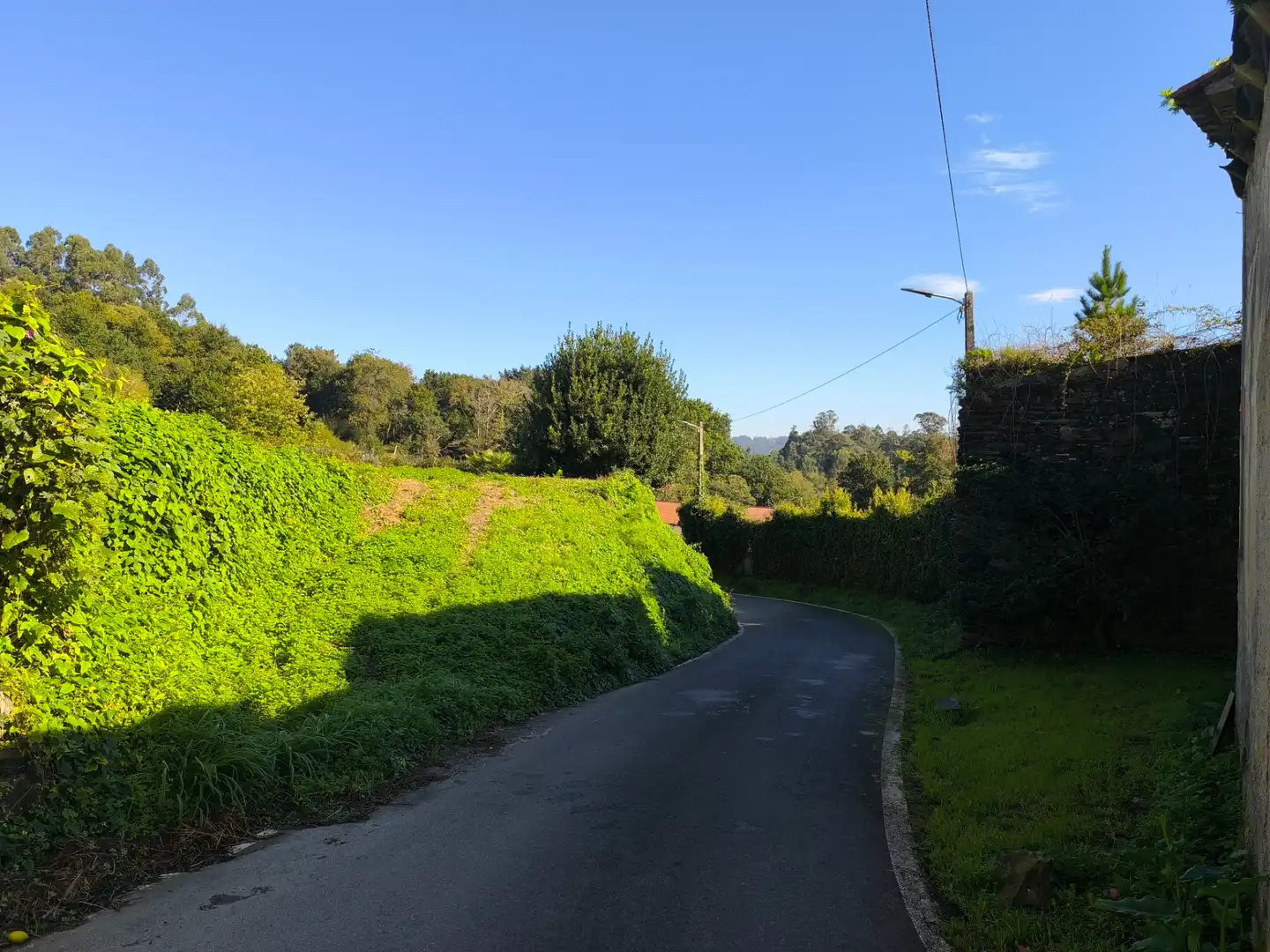 Terreno residencial en venta en Bergondo, imagen 17