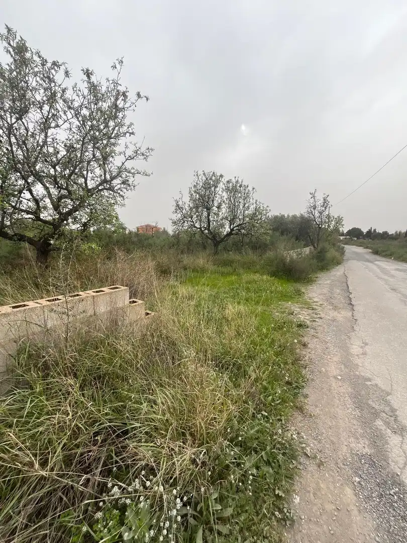 Terrain rustique à vendre à La Algoda - Matola - Llano de San José, imagen 3