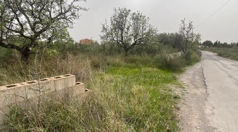 Foto 3 von Grundstücke zum Verkauf in La Algoda - Matola - Llano de San José, Elche / Elx