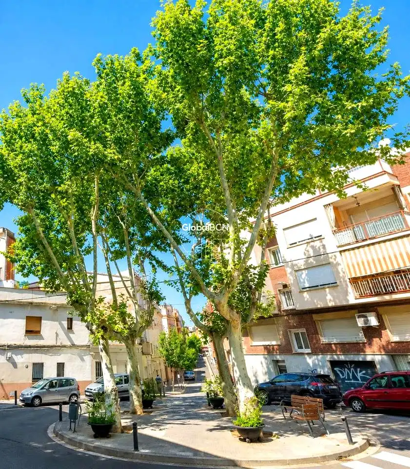 Piso en venta en calle de Ramoneda, La Gavarra