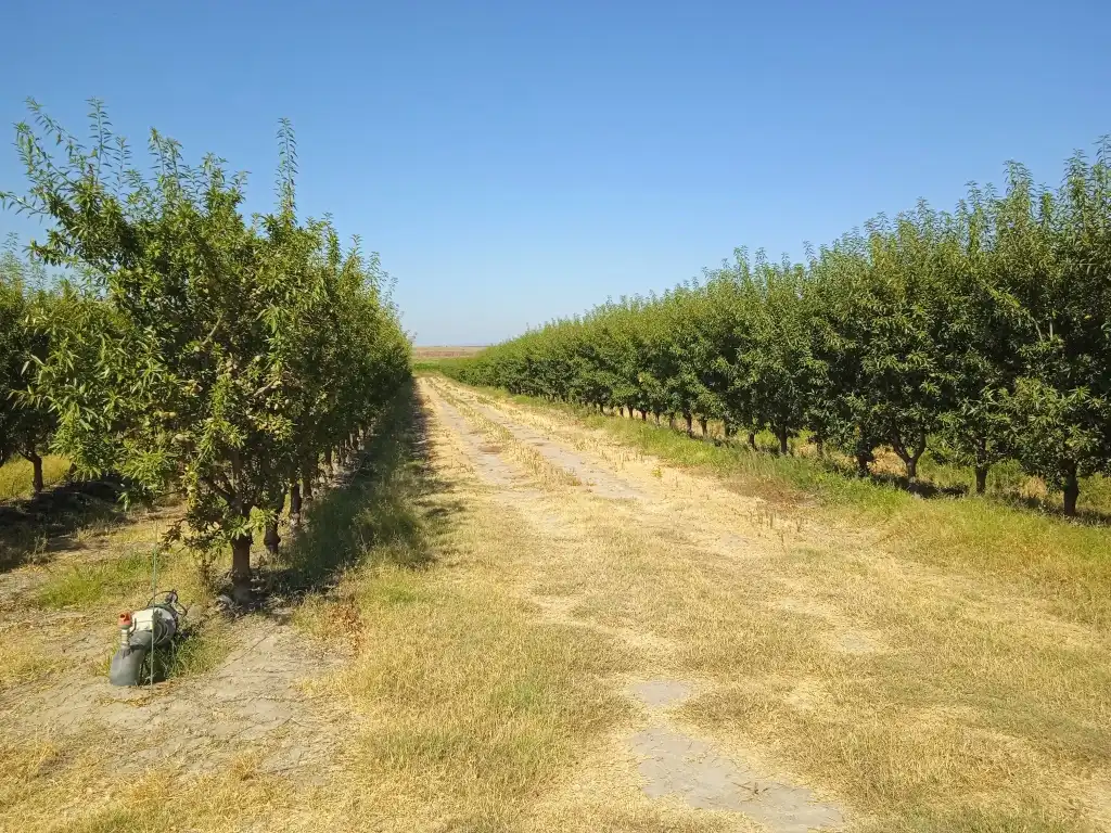 Terreni e lotti in vendita a Don Benito