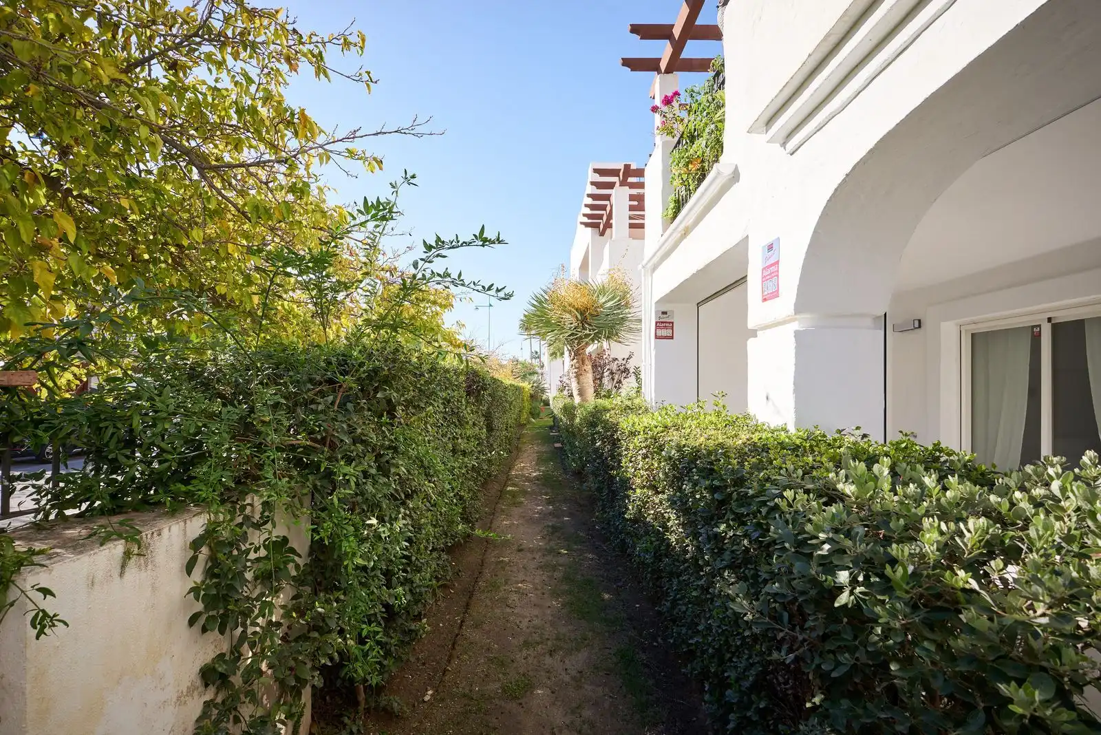 Home with pool for sale in San Pedro de Alcántara, imagen 31