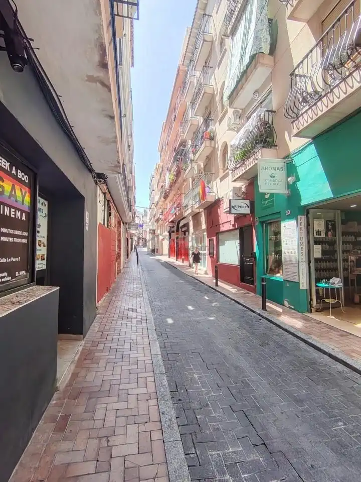 Wohnungen zum Verkauf in De Santa Faç, Casco Antiguo - Puerto