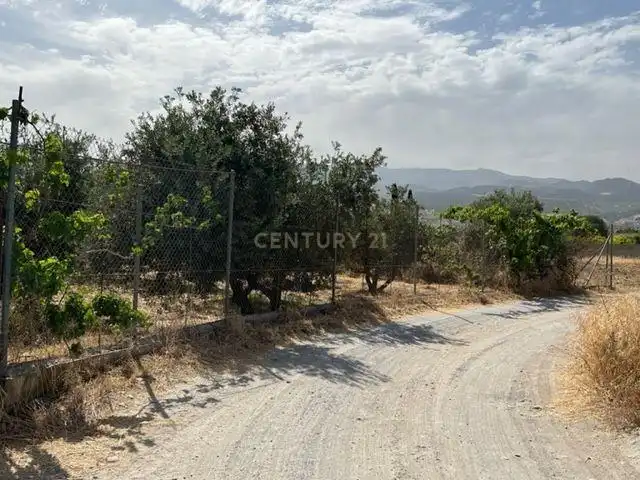 Terreno rustico in vendita a JUEVES POR LA MAQANA POLIGONO 3, imagen 8