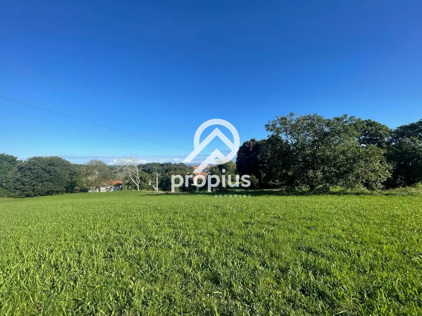 Villa in vendita a Vega,La, imagen 19