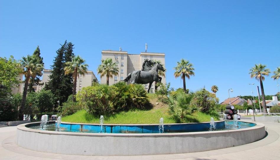 Foto 1 de Planta baixa en venda a Parque Avenida, Cádiz