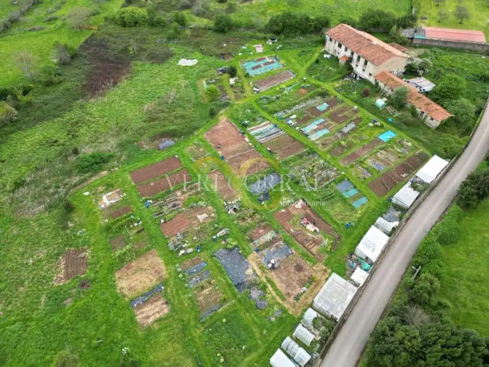 Terreny residencial en venda a Camino de La Pedrera, imagen 13