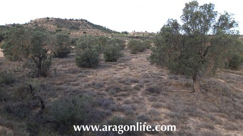 Foto 5 de Terreno en venta en N/a, -1, Fabara, Zaragoza