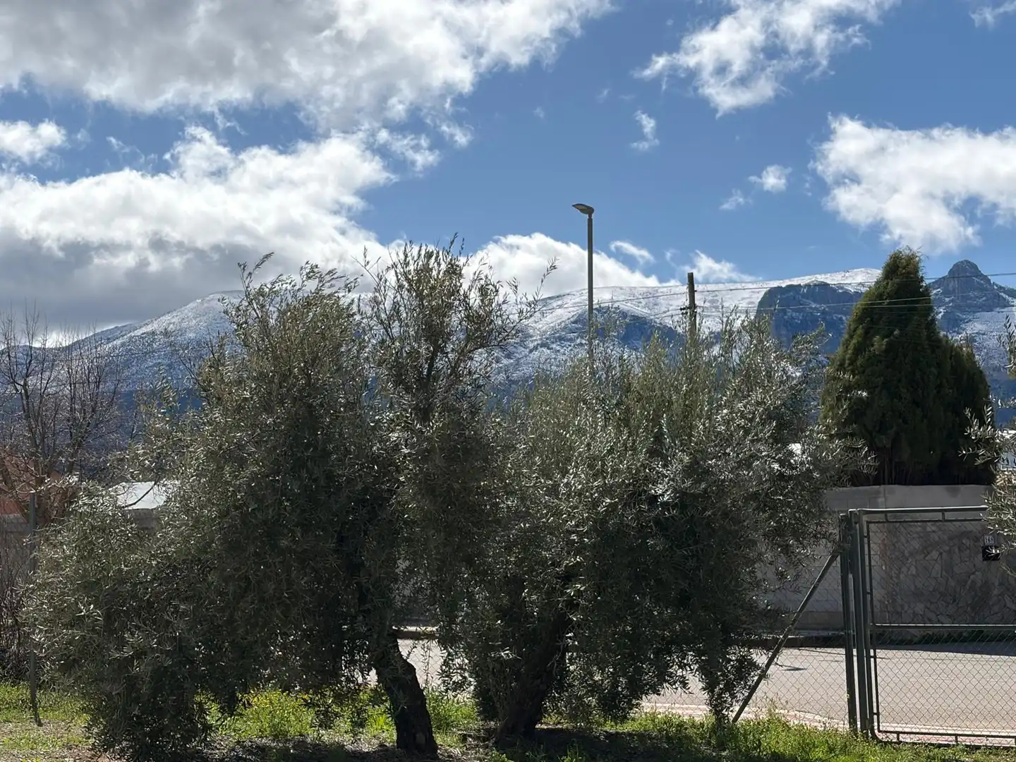 Vista exterior de Finca rústica en venta en Iznalloz