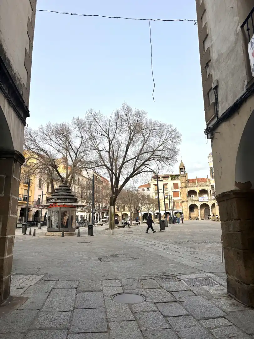 Gewerbefläche zur Miete in Calle Trujillo 4, imagen 8