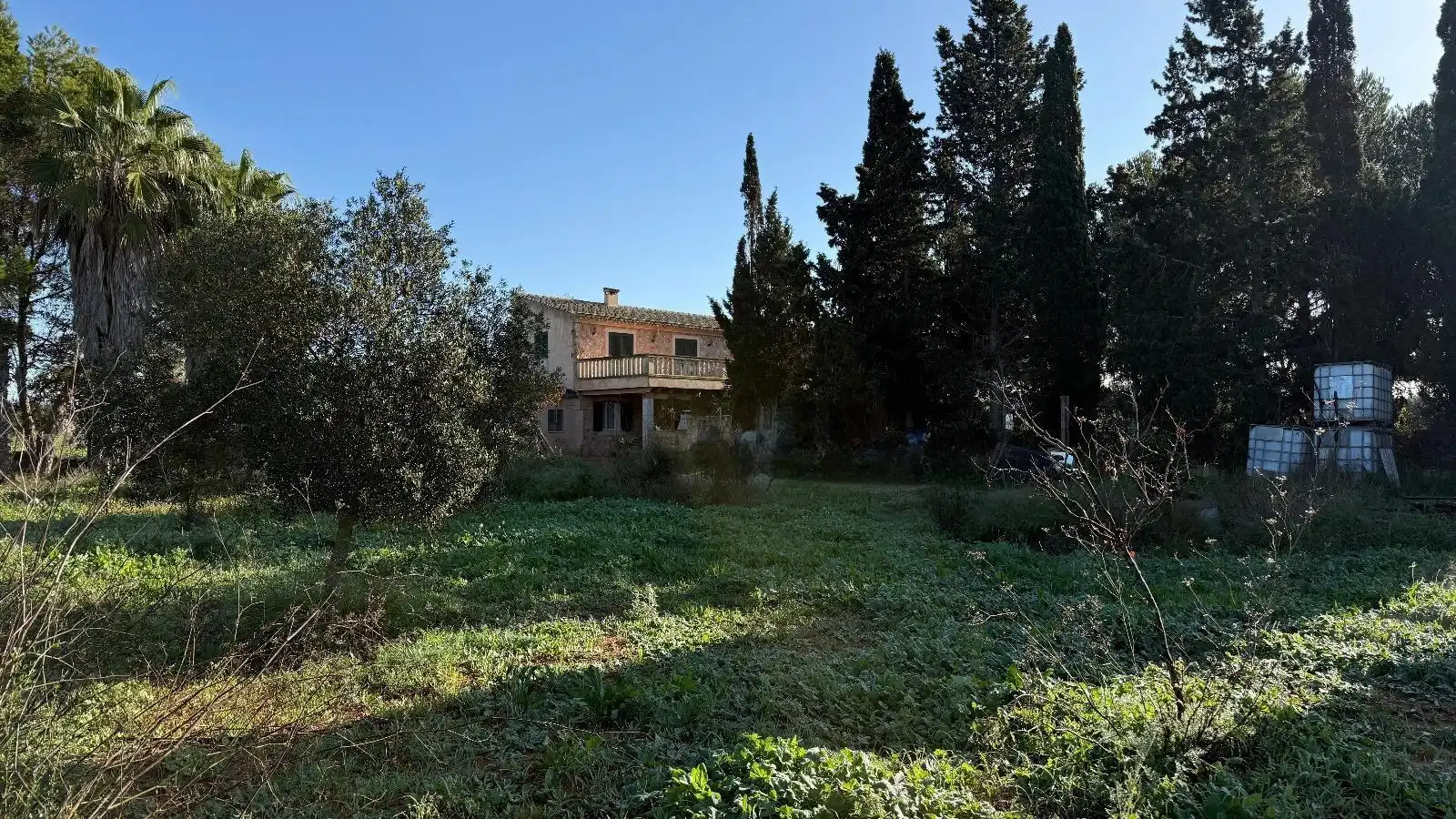 Finca rústica en venta en Camino del palmer, 528, Zona Rústica - Interior