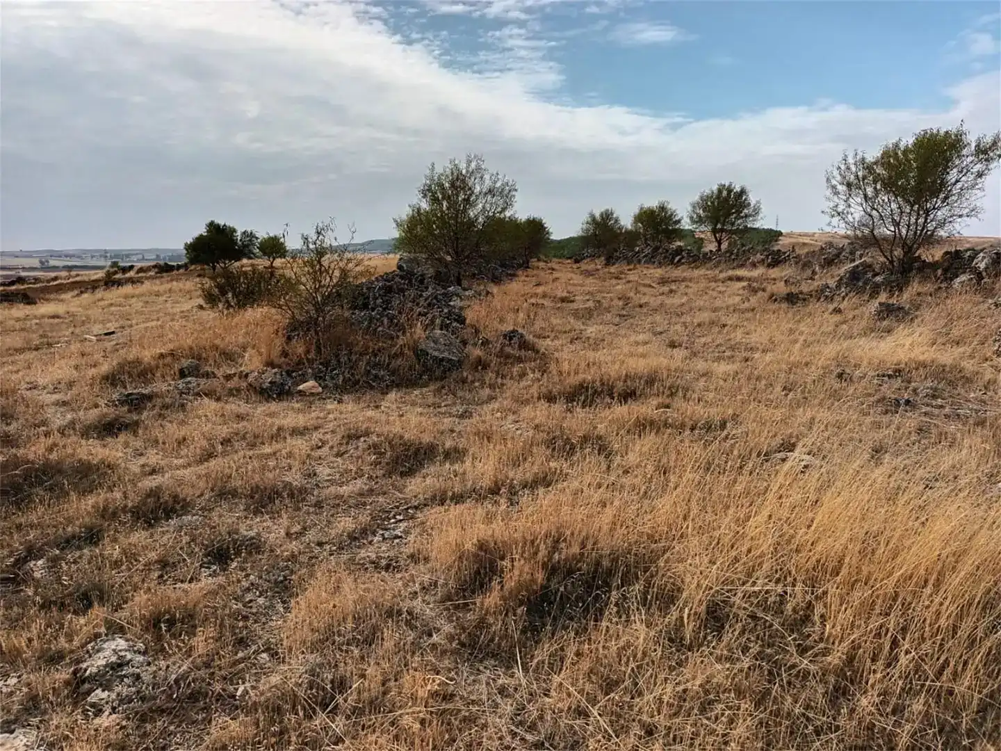 Terreno en venta en Uclés