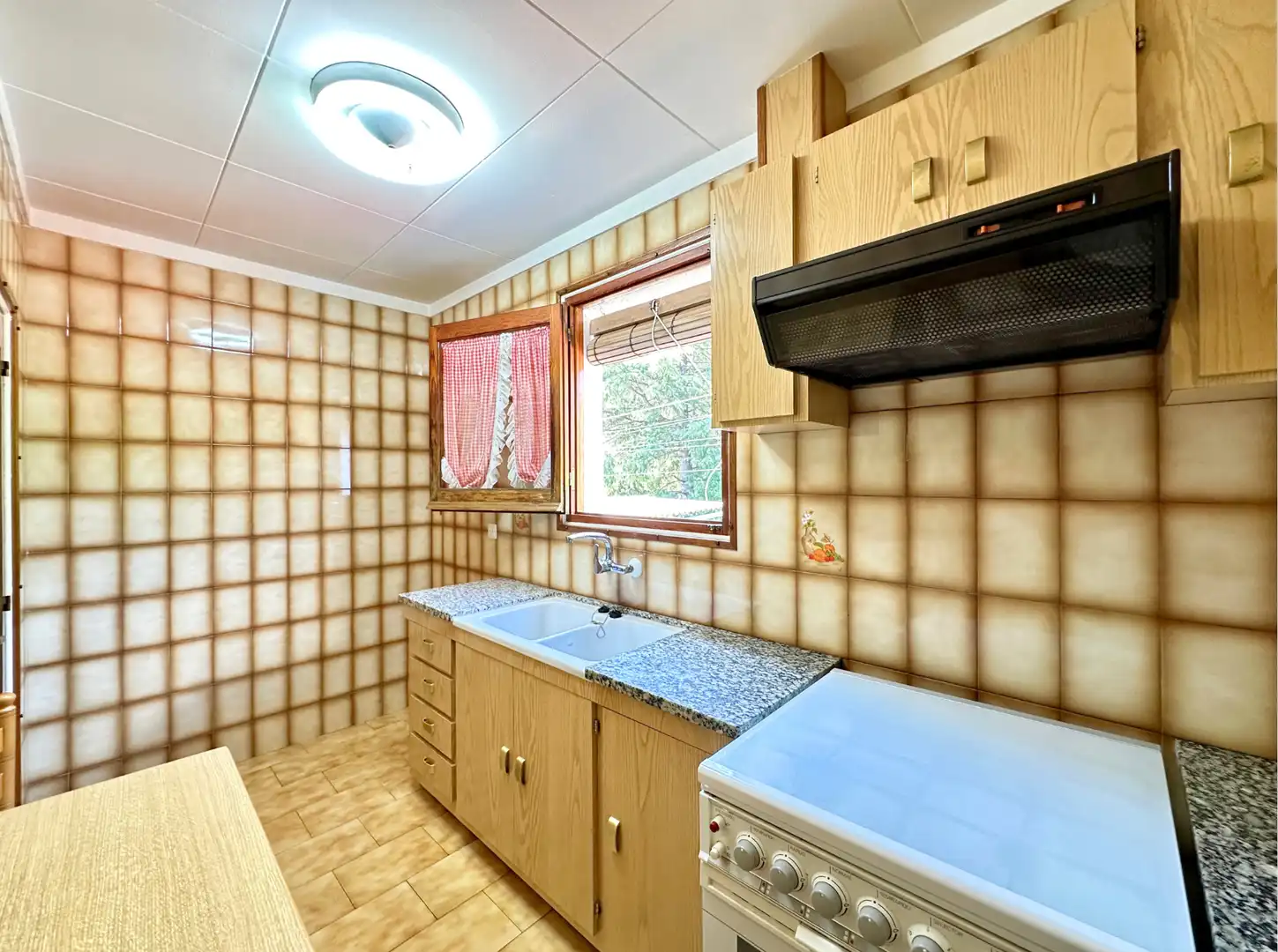 Cuina de Casa o xalet en venda en Ripoll amb Jardí privat i Forn