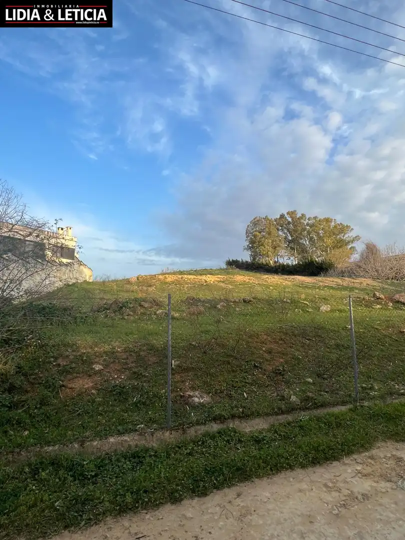 Rural land for sale in Nueva Alcalá, imagen 2