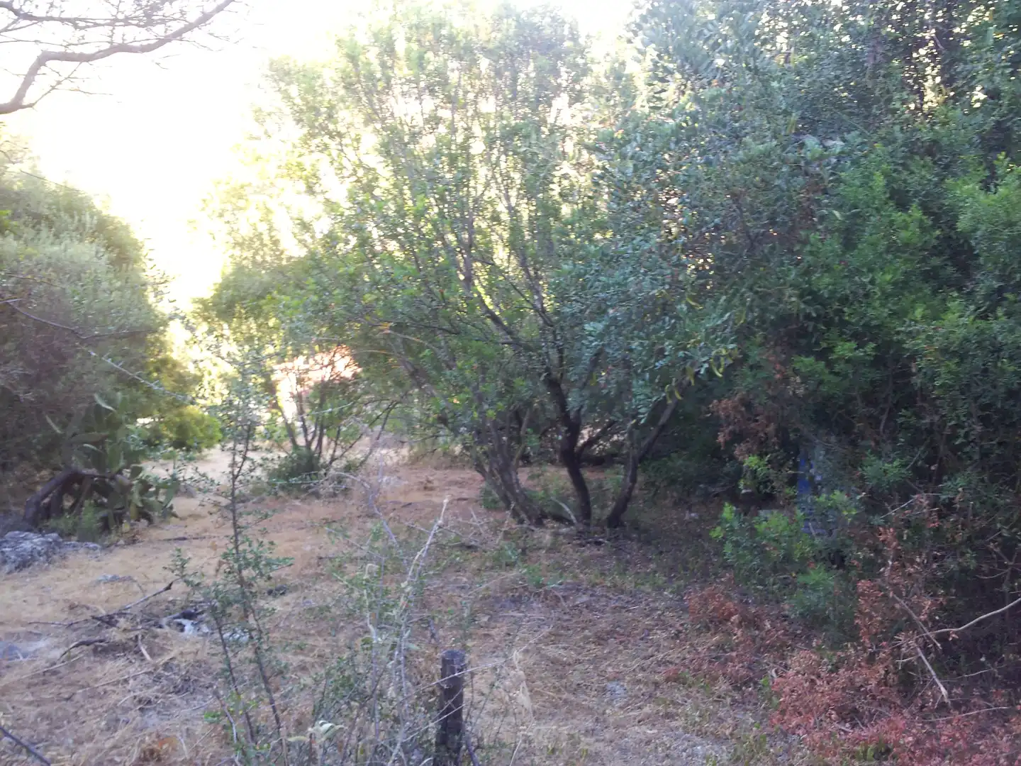 Finca rústica en venta en Ubrique