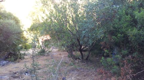 Foto 5 de Finca rústica en venta en Ubrique, Cádiz