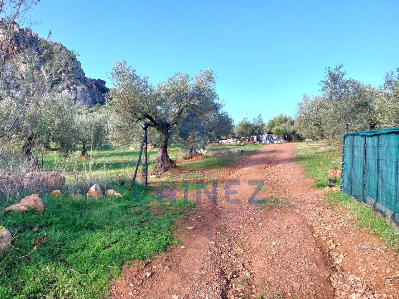Land for sale in Peñarroya-Pueblonuevo