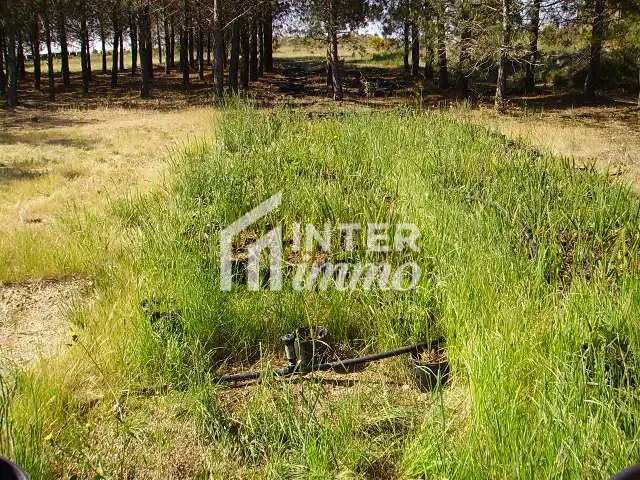 Terreny residencial en venda a Polígono Butaros 181, imagen 5