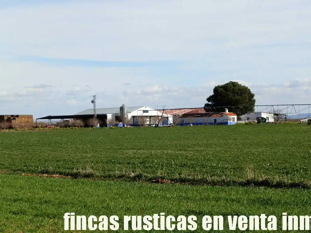 Terreny rústic en venda a Manzanares, imagen 5