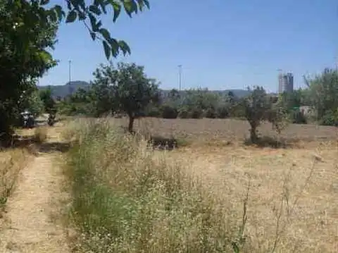 Rural land for sale in Av Torre de Villescas, imagen 7