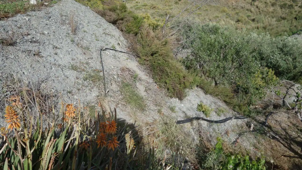 Vista exterior de Finca rústica en venda en Molvízar