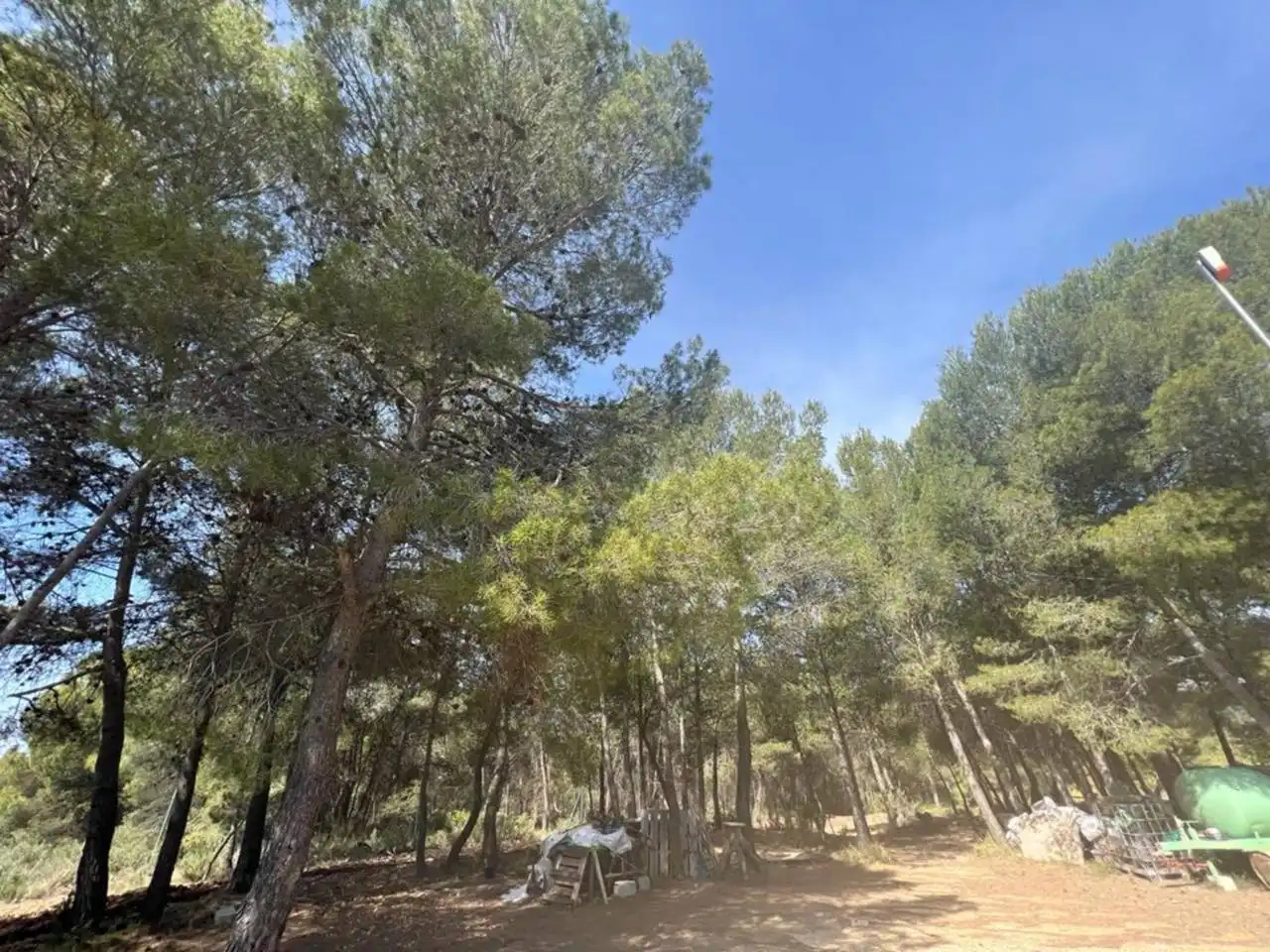 Chalet con jardín en venta en Calle Poligono, imagen 100
