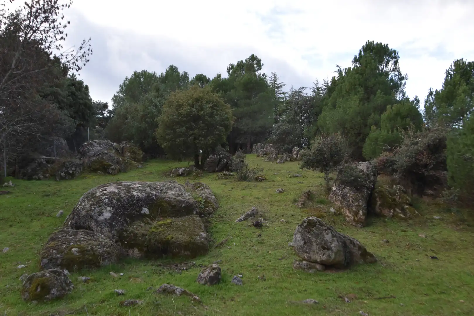 Wohnbaugrundstück zum Verkauf in Avenida Sajonia, imagen 9