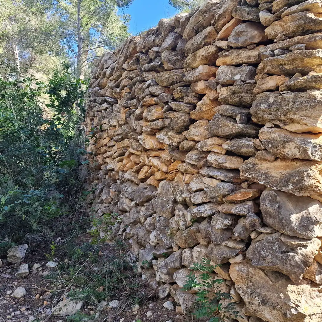 Terreno residencial en venta en Carrer Gessamí 18, imagen 13