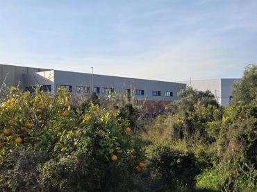 Terreno rustico in vendita a Rafelcofer